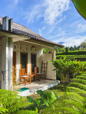Sarang Walet Homestay